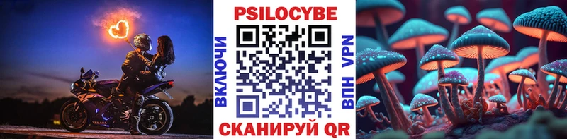 магазин    Луза  mega ТОР  Галлюциногенные грибы GOLDEN TEACHER 